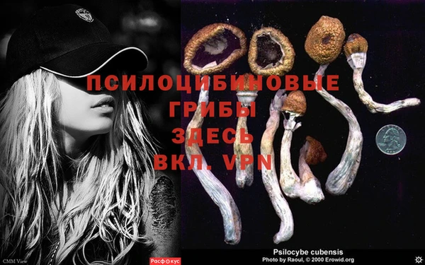 хмурый Богданович