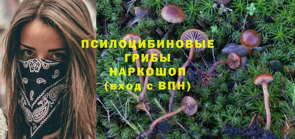 2c-b Белоозёрский