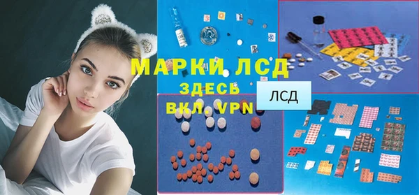 ГАЛЛЮЦИНОГЕННЫЕ ГРИБЫ Беломорск